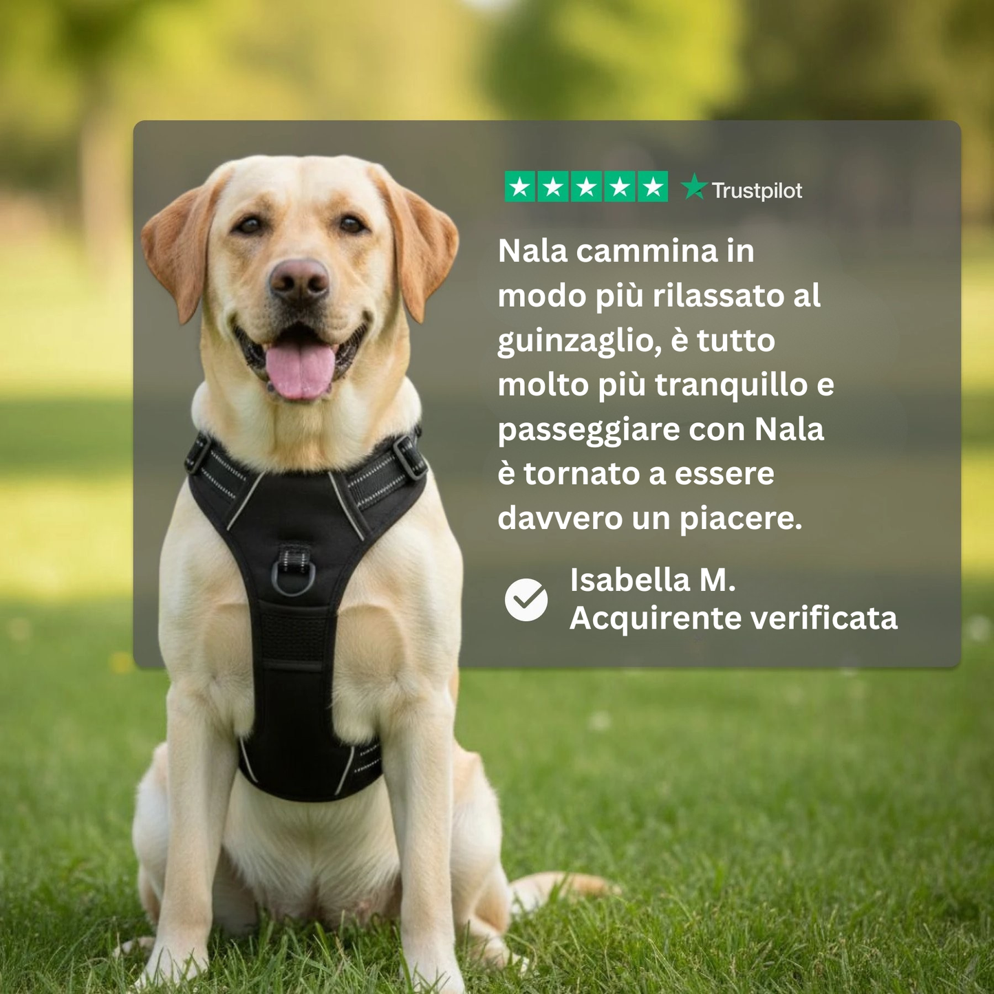 Cosyrae™ Harnais anti-traction