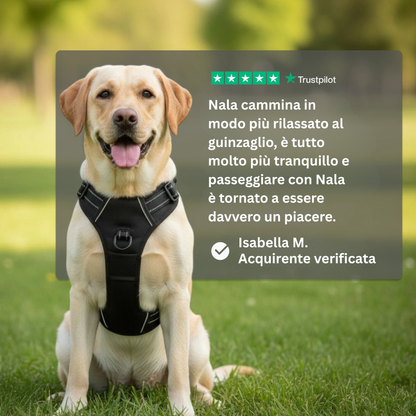 Cosyrae™ Harnais anti-traction