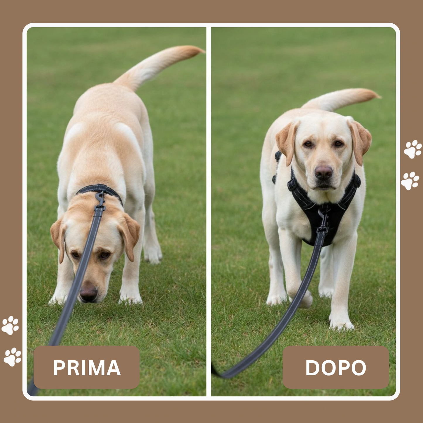 Cosyrae™ Harnais anti-traction