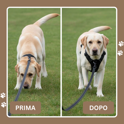 Cosyrae™ Harnais anti-traction