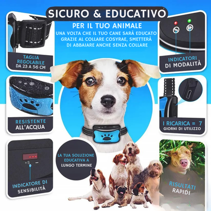 Collier anti-aboiement